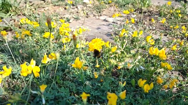 753d504f1550a9d0cfff52c41977d2a0