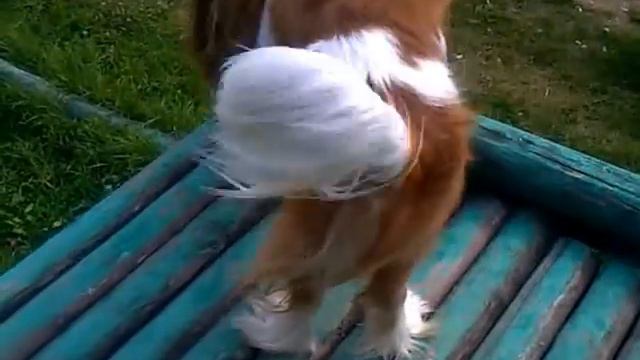 35ec38246723972d9c0e6ed78e7ca313