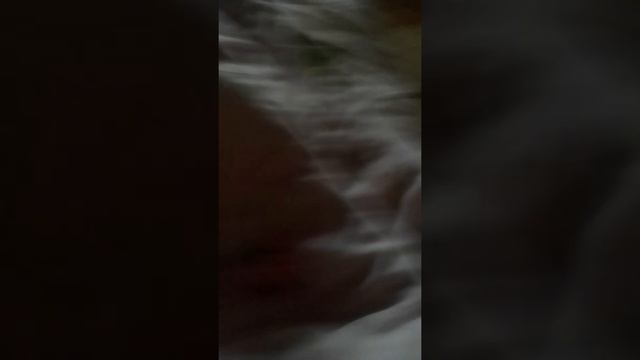 Bdd0e0c7b9bd97ae91bf50eef1787301