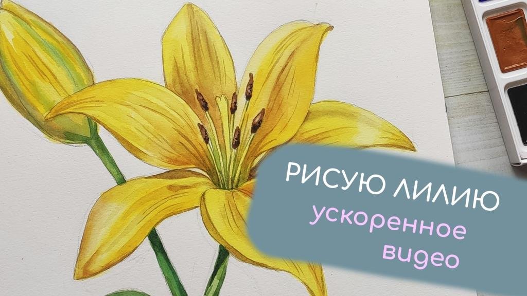 9014cfe4d4c7e4fbe82724a399456043