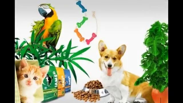 корм для кошек говядина