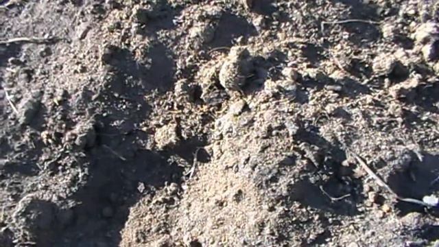 Удачный коп.Вглубь Земли.