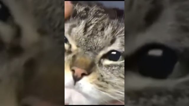 Прически: Волшебные Секреты Оформления