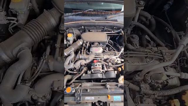 SUBARU FORESTER SG5-124809 EJ203 #D109265