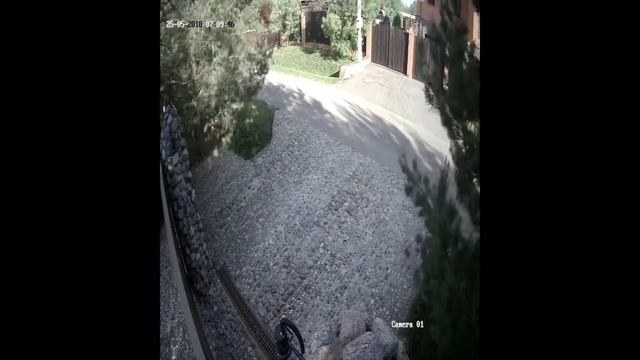 Пример записи камеры 1MP уличной день 1