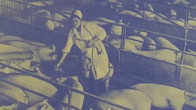 Наша память. Скульптурные группы