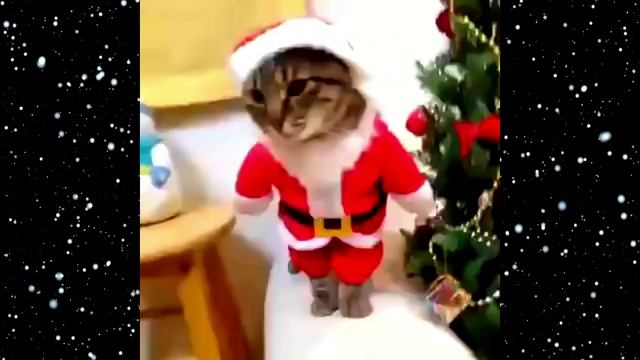 5126e78db482d4a22046b3df56b737c9