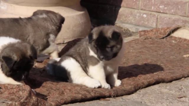 5e16063dd2efcfe47d30eb1754df96d4