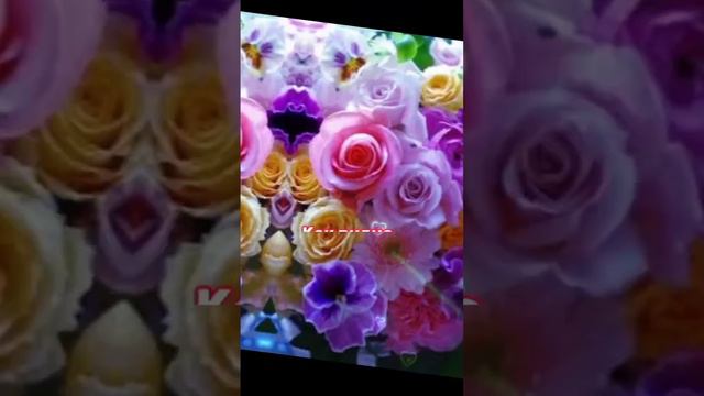 С Днём Рождения, Козерог! #сднемрождения#люблюжизнь#люблюжить#поздравление#весёлый