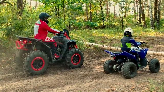 Денис и Папа оттащили упавшее дерево в лесу на квадриках