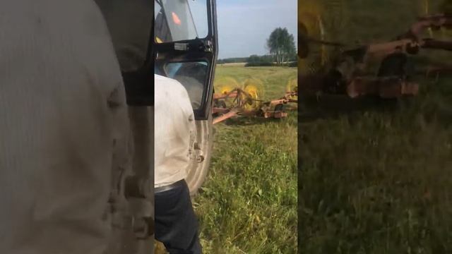 Работа в поле, заготавливаем сено.
