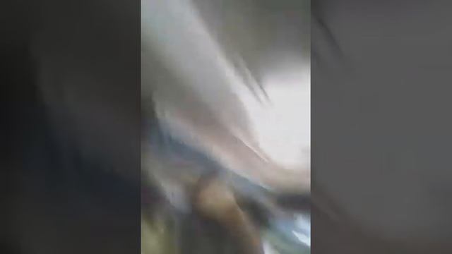 Влог|Blog завод ирбис чаать 2))