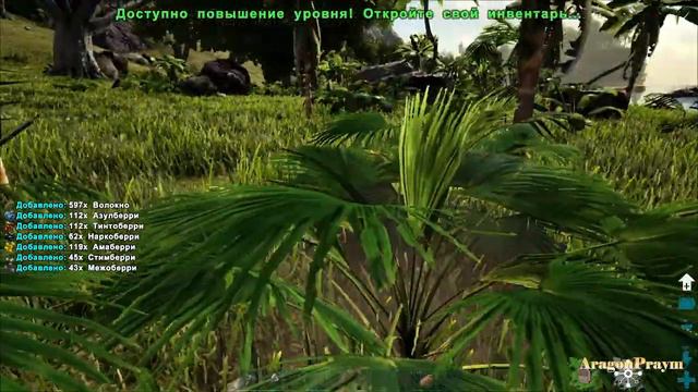 ARK: Survival Evolved Lost Island  #1  Новое начало