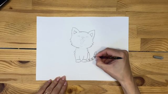 Легкий рисунок котика карандашом  Срисовка для начинающих