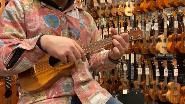 Sonny D Concert 【Crazy G】試奏動画