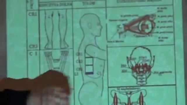7 Презентация метода Микрокинезитерапия