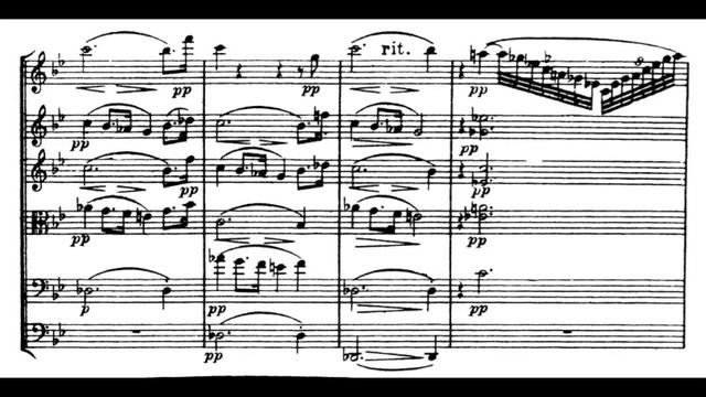 Schoenberg, Verklärte Nacht - Video Score - Janine Jansen Et Al.