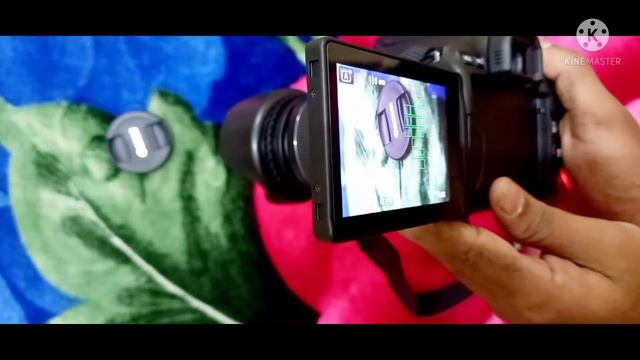 Canon 250d Camera Phonegraphy Kit Lens 18-55 Mm.Best Camera 2021 SL3 Image Test