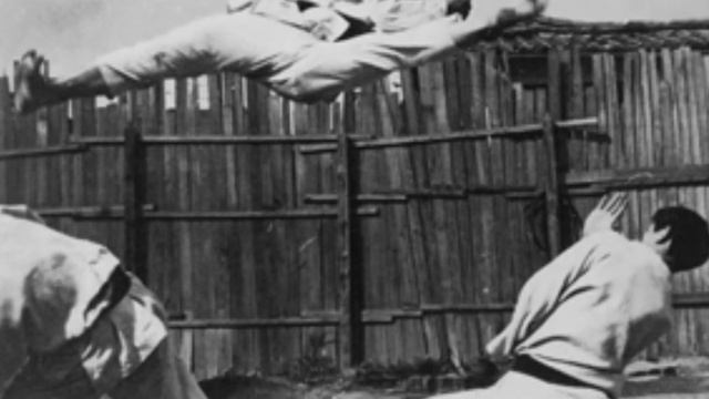 El Hapkido - La Vía De La Unión Y La Energía Universal