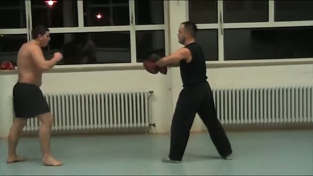 Удары по лапам