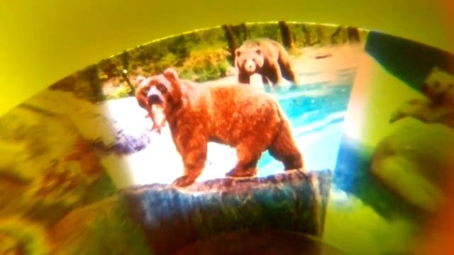 Королевские палочки для мальчиков обзор на фотоаппарат