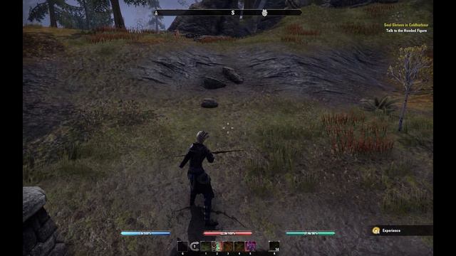 ESO - Stamina Warden RP PVE Werewolf Build - Skinchanger Hunter