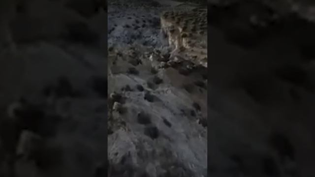 Земная кора после землетрясения в Турции
