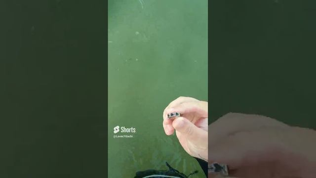 Я нашел это в воде #золото (1)