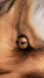 Екатерина Лейт