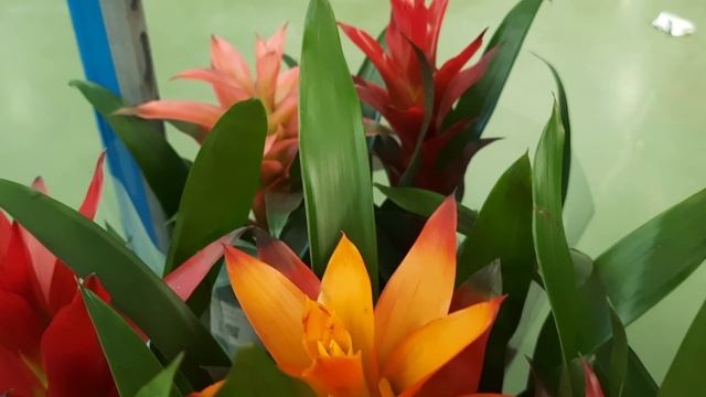 E083981f9f16877b0930ea67542360b9