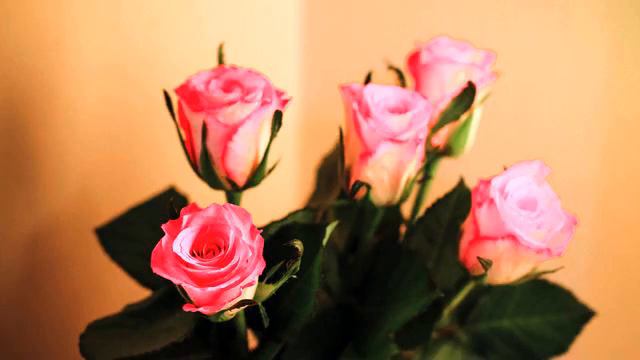 Самая хорошая русская песня для авто онлайн