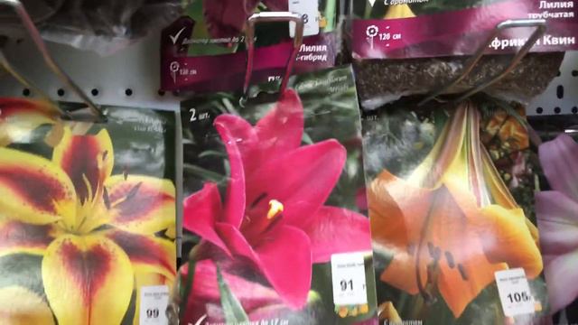 Обзор в тц садовые  штучки