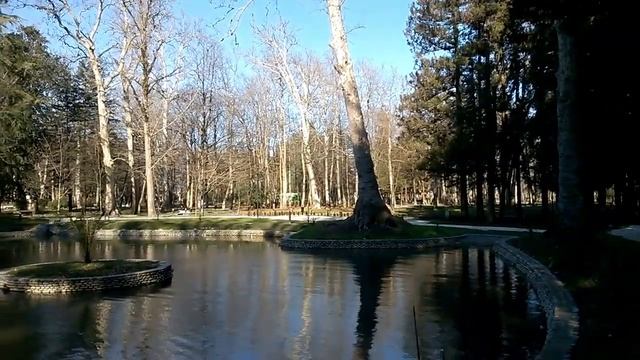 Зугдидский ботанический сад после реабилитации. Zugdidi Botanical Garden After Rehabilitation.