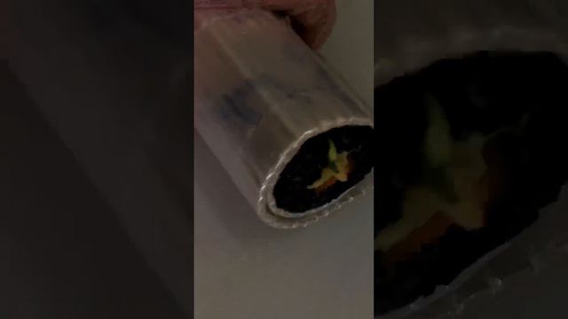 СУШИ ПАЛКИ: зона доставки #суши #франшиза #спб #доставка