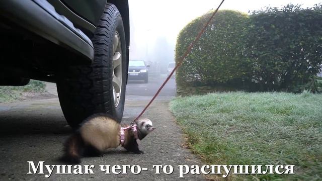 Какой погодой встречает Англия Православное Рождество ?