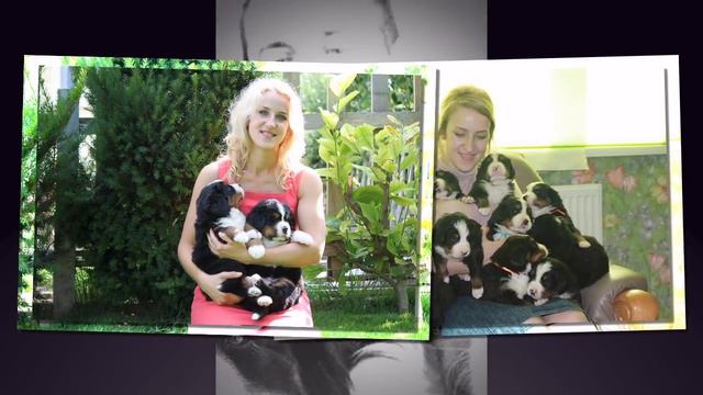 9ae941309acaf6b570b88c722a3b07ad