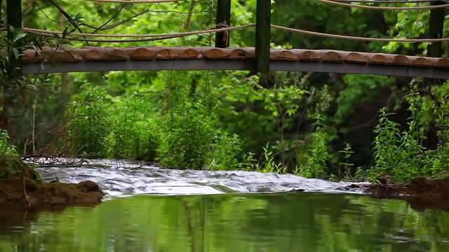 Расслабляющая музыка для снятия стресса. Успокаивающая Фортепианная музыка. Медитация. Музыка сна!