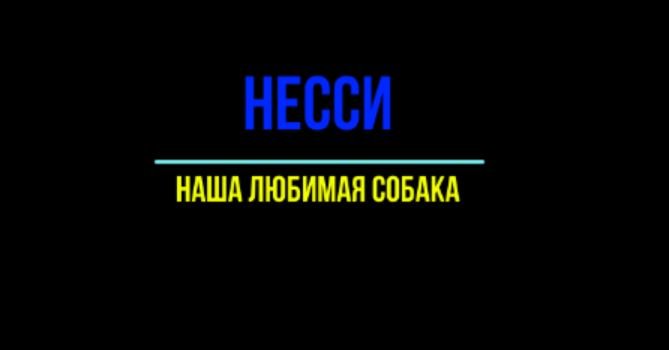 Несси