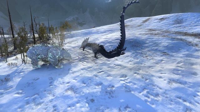 Dragons Matched Combat Animations With Elemental Bear