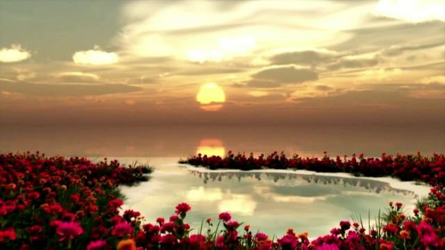 E.Lev.-Tom's Extraordinary Journey..mp4