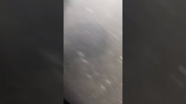 Радость на Honda