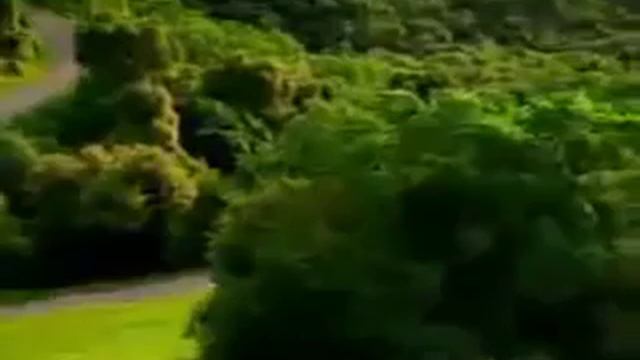 D59d5c409fa5042dd8cbd38a21c3d106