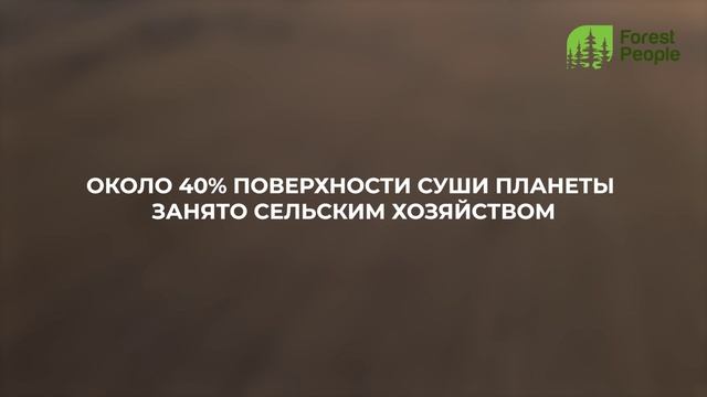 Демографический кризис и экология.
