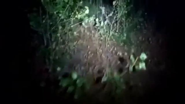 Встреча с Kriper2004 в Лесу. Он не пришёл ко мне...