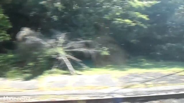 Вид из окна поезда Псоу-Сухум 2018