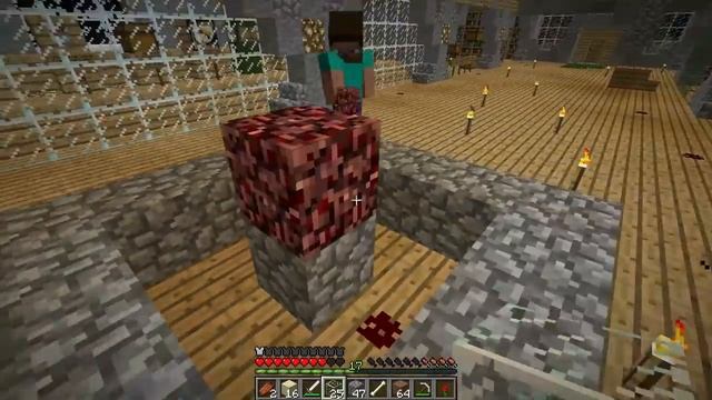 TELL NOBODY - Minecraft Evolution SMP #61