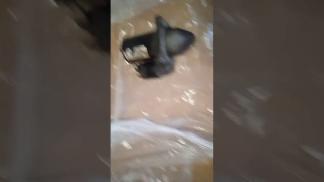 Метаморфозы Домашнего Обустройства