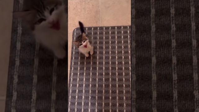 9ec61c44d0e37b46ccb4bdfcb4b6e2bc