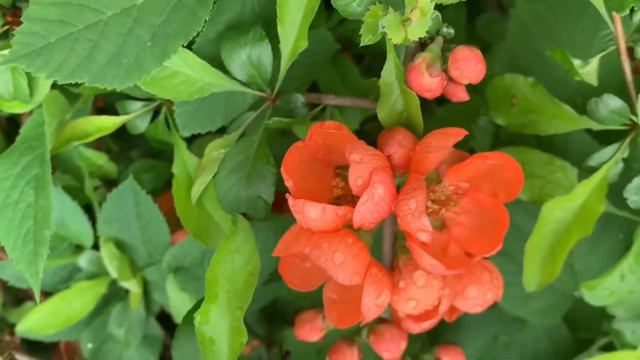 Добрый вечер( часть 2 большого видео)