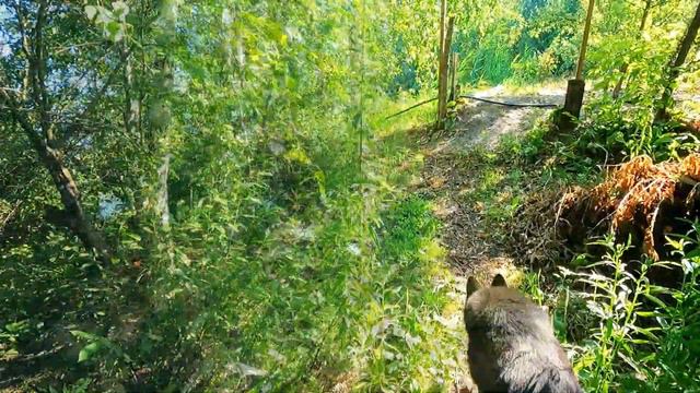 F0fe71155d35241c88a6235a6745dda3